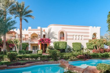 Yüzme Havuzu ve palmiye ağaçları Mısır'daki güzel