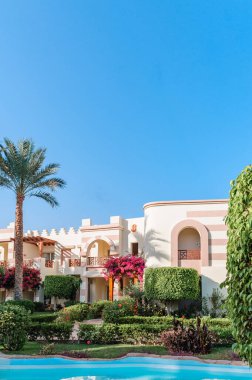 Yüzme Havuzu ve palmiye ağaçları Mısır'daki güzel