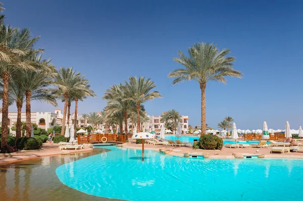 Красивый бассейн и пальмы в Египте — стоковое фото