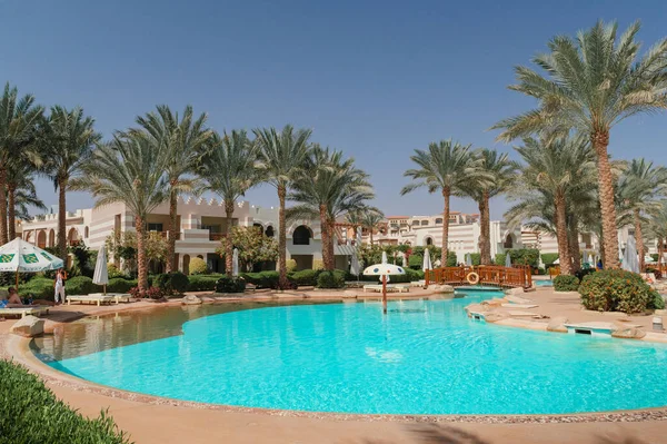 Hermosa piscina y palmeras en Egipto — Foto de Stock