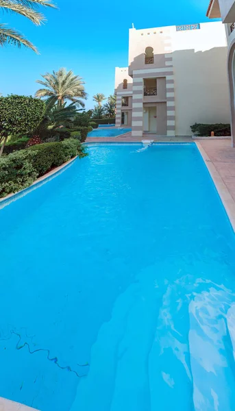 Hermosa piscina y palmeras en Egipto — Foto de Stock