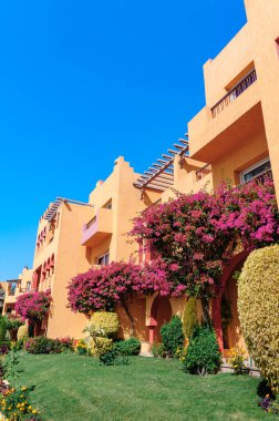 Mısır 'da grenerisi ve palmiyesi olan lüks tatil köşkü