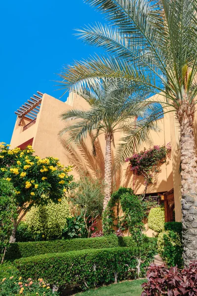 Luxusní rekreační vila s grenerií a palmami v Egyptě — Stock fotografie