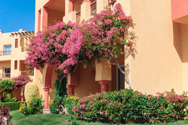 Villa de vacaciones de lujo con granito y palmera en Egipto — Foto de Stock