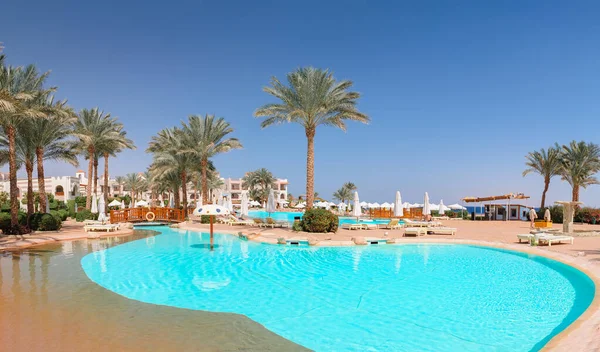 Beautiful swimming pool and palm trees in Egypt — Stock Photo, Image