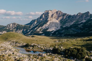 Gün doğarken Dağ Vadisi. Doğal yaz manzarası. Dağ zirvesi yeşil doğa manzarası. Yeşil tepe manzarası