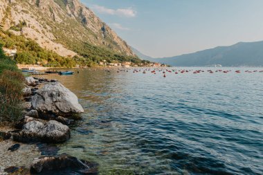 Karadağ 'ın Kotor Körfezi' ndeki istiridye çiftliği. Yüksek kalite fotoğraf.