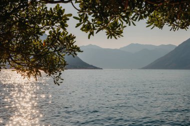 Gün batımı, ağaç siluetleriyle güzel bir manzara. Seyahat konsepti. Karadağ, Kotor Körfezi. Kotor Bay Montenegro 'da günbatımı. Karadağ 'ın Boko-Kotor Körfezi' nde günbatımı manzarası. Siluetler