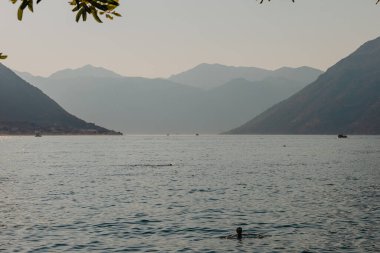 Gün batımı, ağaç siluetleriyle güzel bir manzara. Seyahat konsepti. Karadağ, Kotor Körfezi. Kotor Bay Montenegro 'da günbatımı. Karadağ 'ın Boko-Kotor Körfezi' nde günbatımı manzarası. Siluetler