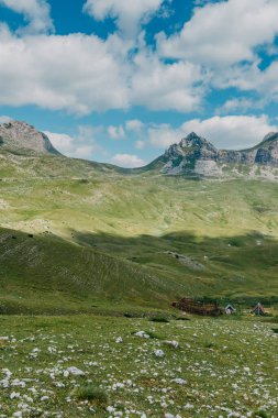 Gün doğarken Dağ Vadisi. Doğal yaz manzarası. Dağ zirvesi yeşil doğa manzarası. Yeşil tepe manzarası