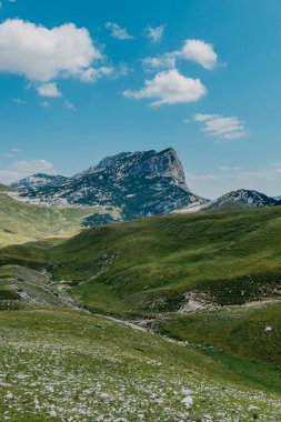 Gün doğarken Dağ Vadisi. Doğal yaz manzarası. Dağ zirvesi yeşil doğa manzarası. Yeşil tepe manzarası
