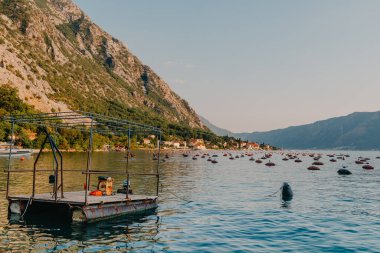Karadağ 'ın Kotor Körfezi' ndeki istiridye çiftliği. Yüksek kalite fotoğraf.