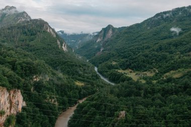 Tara River, kuzey Karadağ 'daki köprünün manzarası. Tara nehri kanyonu, Avrupa 'nın en derin kanyonu, dünyanın ikinci kanyonu. Karadağ Devleti