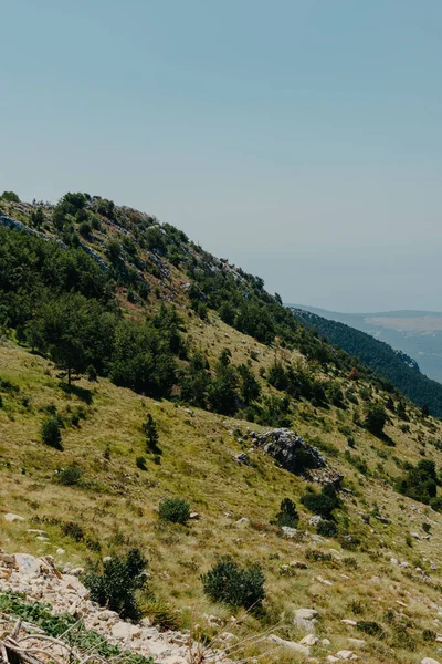 Panoramisch uitzicht op idyllische berglandschappen in de Alpen met frisse groene weiden in bloei op een prachtige zonnige dag. Zomer berglandschap Landschap hooggebergte. Landschap in de velden. — Stockfoto
