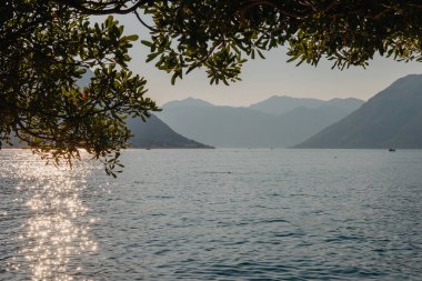 Gün batımı, ağaç siluetleriyle güzel bir manzara. Seyahat konsepti. Karadağ, Kotor Körfezi. Kotor Bay Montenegro 'da günbatımı. Karadağ 'ın Boko-Kotor Körfezi' nde günbatımı manzarası. Siluetler