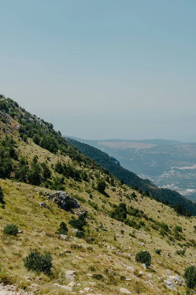 Panoramisch Uitzicht Idyllische Berglandschappen Alpen Met Frisse Groene Weiden Bloei — Stockfoto