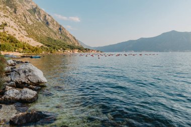 Karadağ 'ın Kotor Körfezi' ndeki istiridye çiftliği. Yüksek kalite fotoğraf