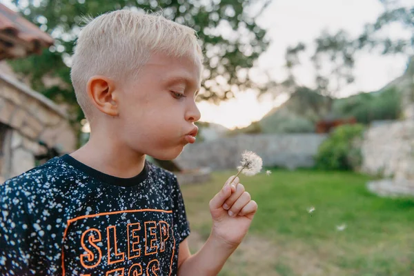 Beautiful Little Boy Long Hair Park Blowing Dandelion Sunset Child — Stockfoto