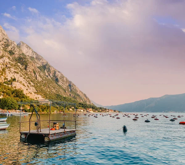 Karadağ 'ın Kotor Körfezi' ndeki istiridye çiftliği. Yüksek kalite fotoğraf
