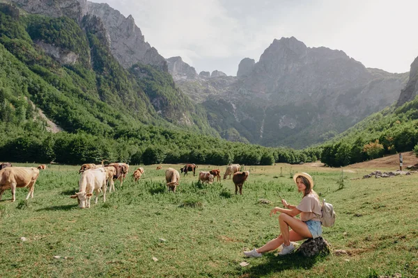 양식의 아름다운 여자가 알프스산맥 구경한다 지대에 앉아서 여자가 여름에 모습을 — 스톡 사진