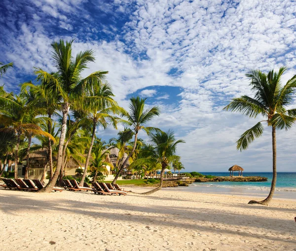 Paradiso Tropicale Repubblica Dominicana Seychelles Caraibi Mauritius Filippine Bahamas Rilassarsi — Foto Stock