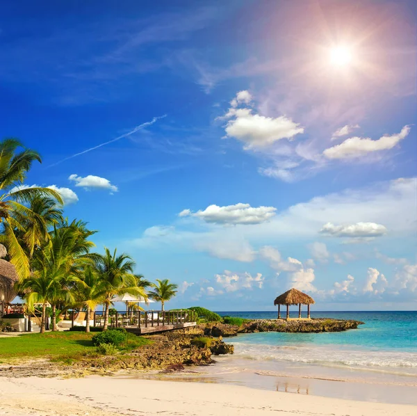 Tropisch Paradijs Dominicaanse Republiek Seychellen Caribisch Gebied Mauritius Filippijnen Bahama — Stockfoto