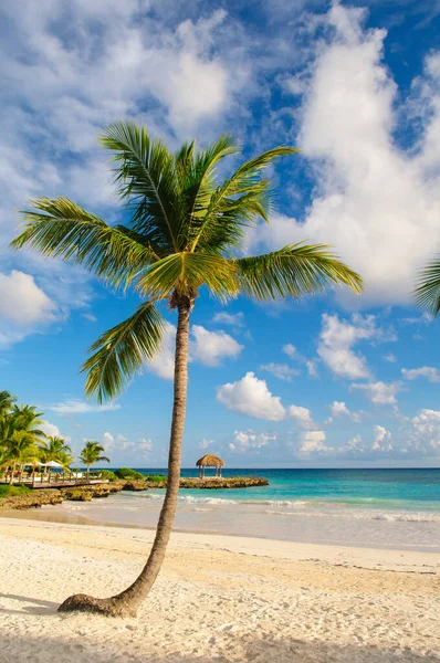 Tropikalny Raj Dominikana Seszele Karaiby Mauritius Filipiny Bahamy Relaks Zdalnym — Zdjęcie stockowe