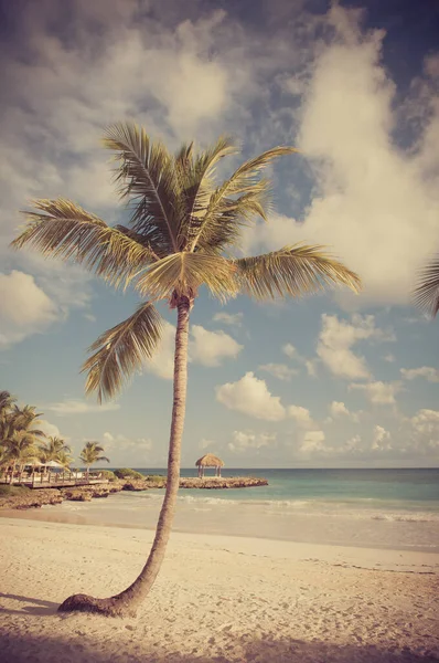 热带天堂 多米尼加共和国 塞舌尔 加勒比 毛里求斯 菲律宾 巴哈马 在遥远的天堂海滩上放松 — 图库照片