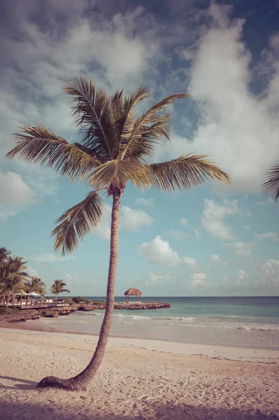 熱帯の楽園 ドミニカ共和国 セイシェル カリブ海 モーリシャス共和国 フィリピン バハマ リモートの楽園ビーチでリラックス ヴィンテージ — ストック写真