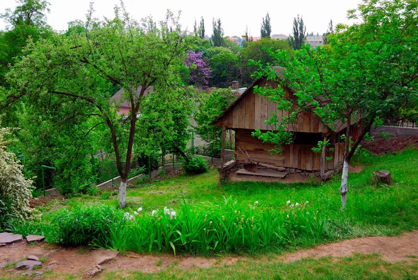春天或夏天的典型乌克兰风景 白色粘土小屋 有稻草屋顶 前景一片树 — 图库照片