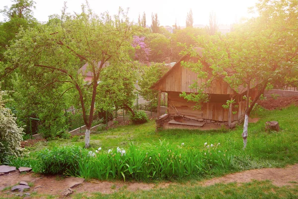 Typische Ukrainische Landschaft Frühling Oder Sommer Weiße Lehmhütte Mit Strohdach — Stockfoto