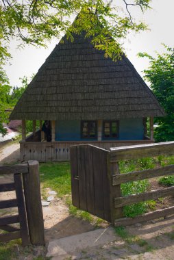 İlkbahar veya yaz aylarında tipik bir Ukrayna manzarası: ön planda saman çatısı ve bir ağacı olan beyaz kil kulübe.