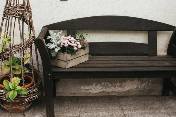 vintage outdoor furniture, mums and nik-naks. wooden bench in front garden with flower boxes. box with flowers on the bench.