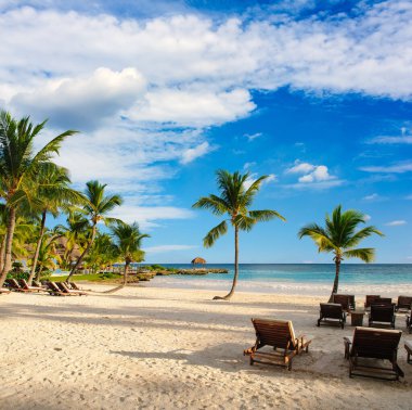 Tropik cenneti. Dominik Cumhuriyeti, Seyşeller, Caribbean, Mauritius, Filipinler, Bahamalar. Uzak Cennet plaj rahatlatıcı. Vintage.