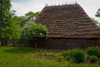 İlkbahar veya yaz aylarında tipik bir Ukrayna manzarası: ön planda saman çatısı ve bir ağacı olan beyaz kil kulübe.