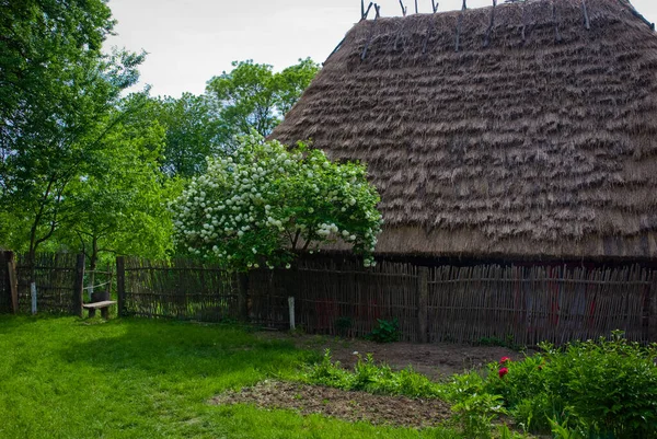 Typical Ukrainian Landscape Spring Summer White Clay Hut Straw Roof — Stock Photo, Image