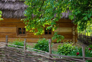İlkbahar veya yaz aylarında tipik bir Ukrayna manzarası: ön planda saman çatısı ve bir ağacı olan beyaz kil kulübe.