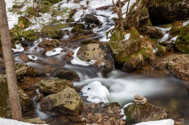 stream in forest in winter long exposure