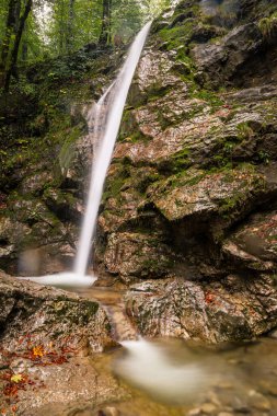 small waterfall in forest from forest creek