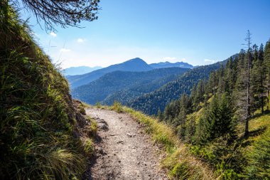 trail landscape in the mountains german alps