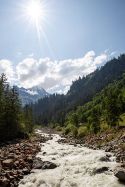 switzerland alps mountain creek at sunshine