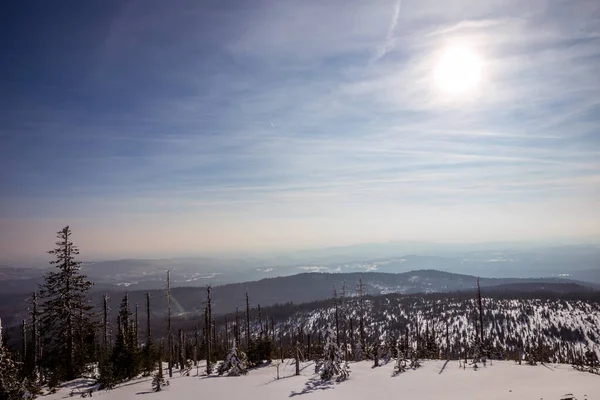 Sun Bavarian Forest Winter — Stock Photo, Image