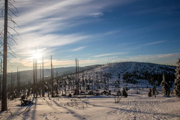 Sun Bavarian Forest Winter — Stock Photo, Image