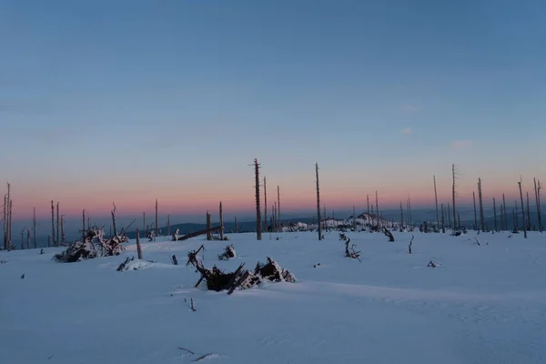 Dawn Bavarian Forest — Stock fotografie