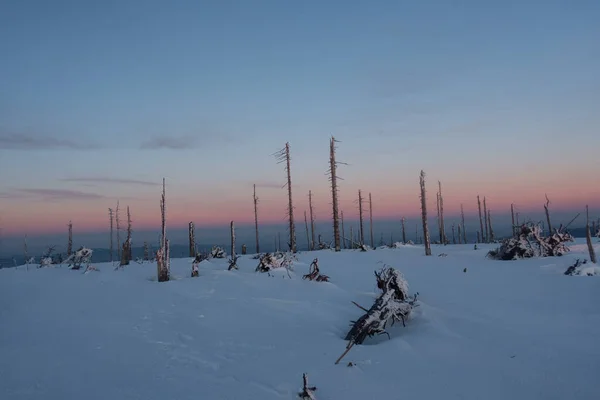dawn in bavarian forest