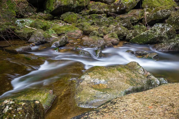 Stream Forest Mossy Stones — Stock Photo, Image
