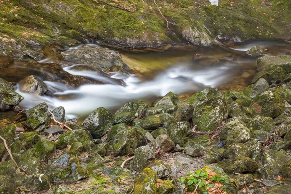 stream through mossy stones in forest