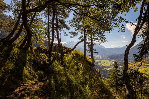 panoramic view out of the forest in german alps
