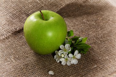 yaprak ve çiçekleri ile yeşil elma