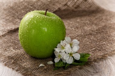 yaprak ve çiçekleri ile yeşil elma